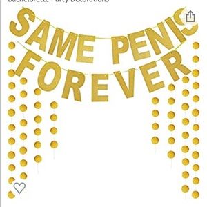 Bachelorette Party Banner